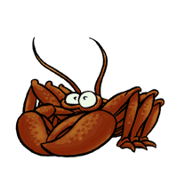 Cancer (The Crab)