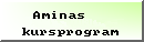 Aminas kursprogram Aminas kursprogram
